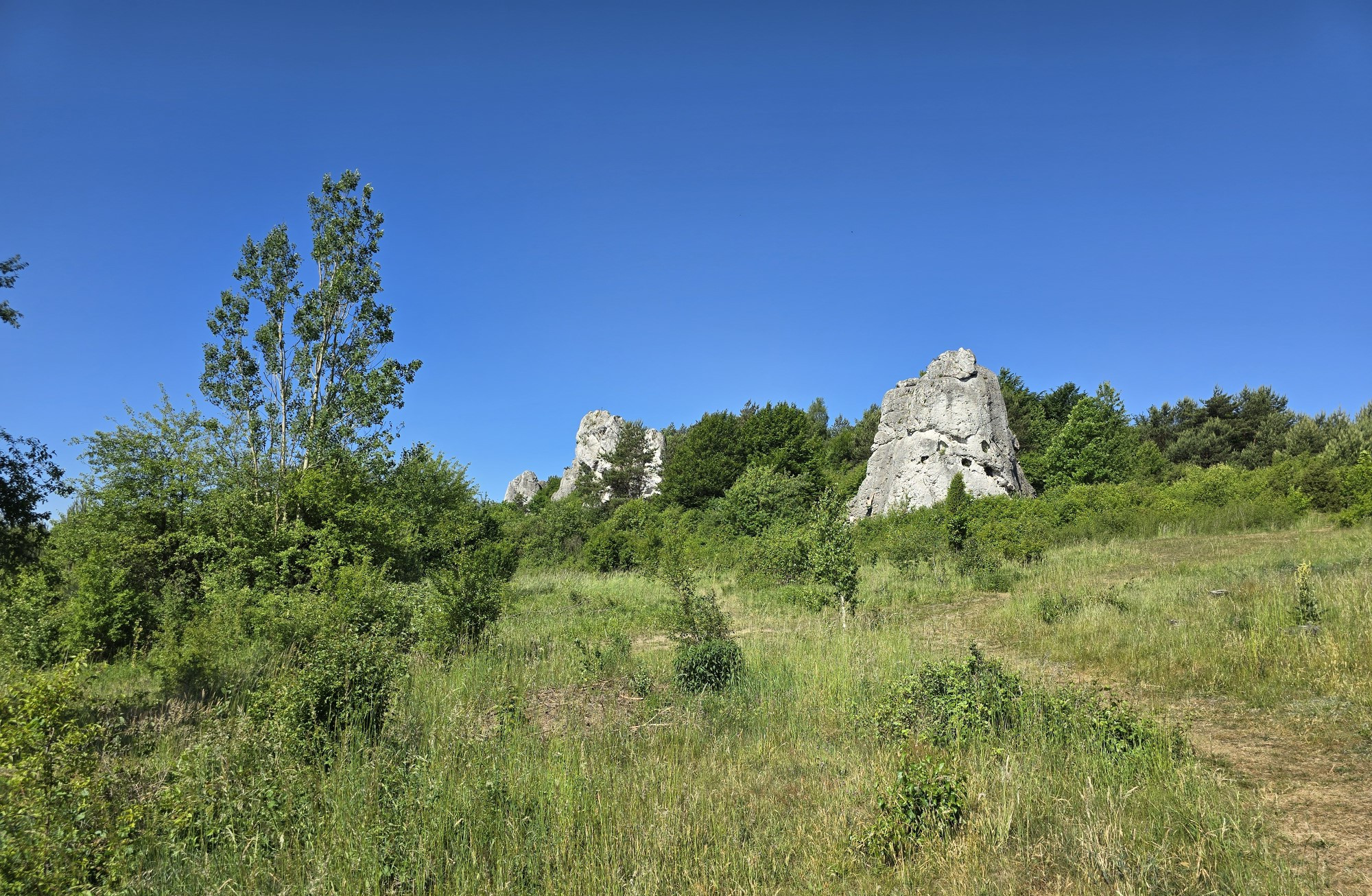 Course Image XIV Polski MoodleMoot (2025)